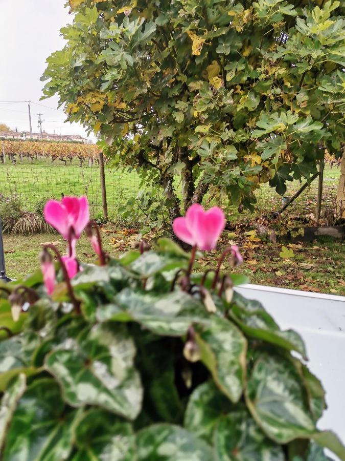 Gite " Suzon" A Peyroutas Vignonet St Emilion エクステリア 写真